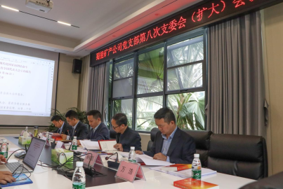 Ebpay矿产召开2022年第8次支部委员会（扩大）会议